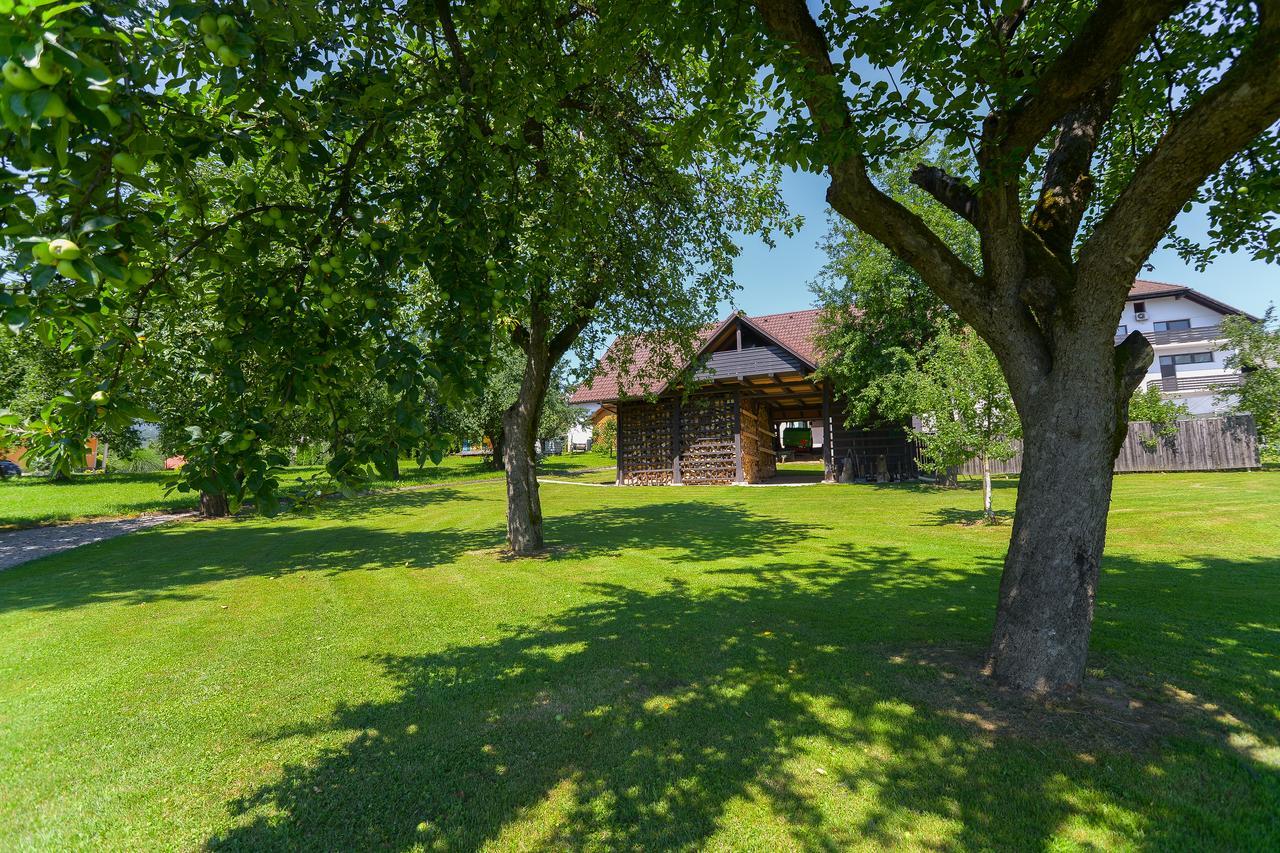 Hotel Zupancicev Hram Dragatuš Exteriér fotografie